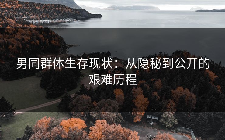 男同群体生存现状：从隐秘到公开的艰难历程